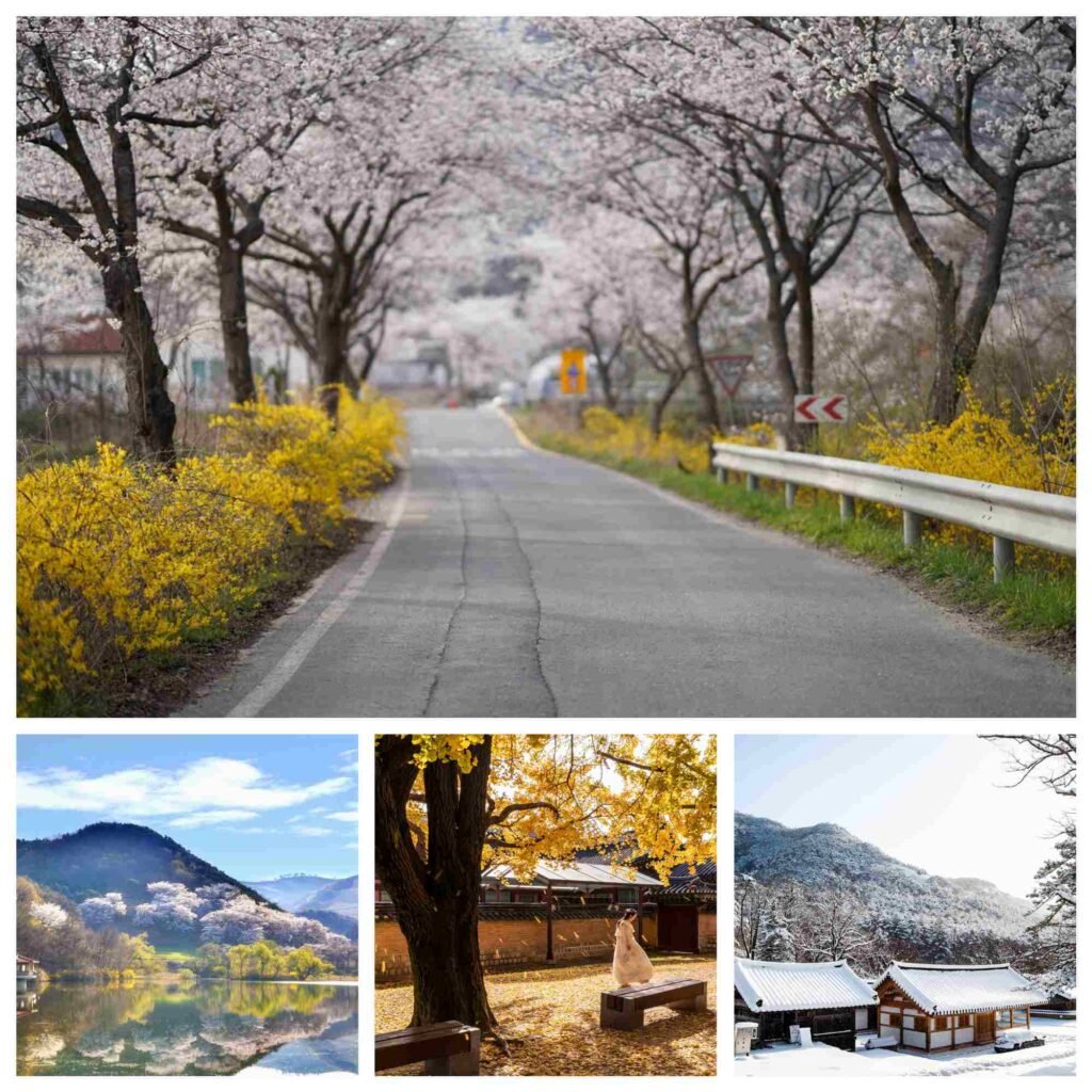 Korea's 4 seasons