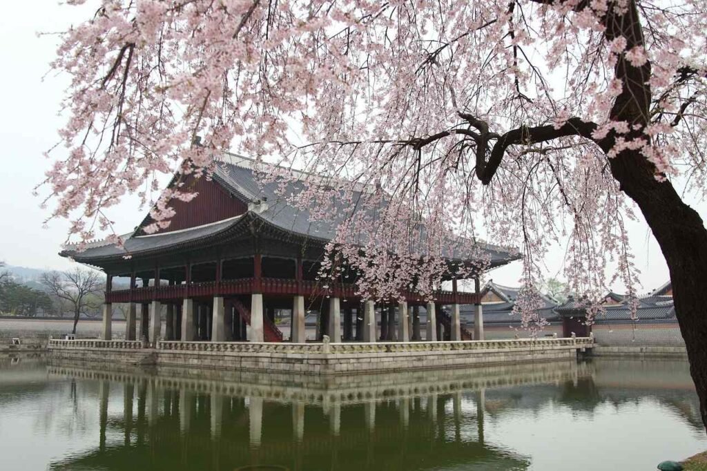 korea in spring