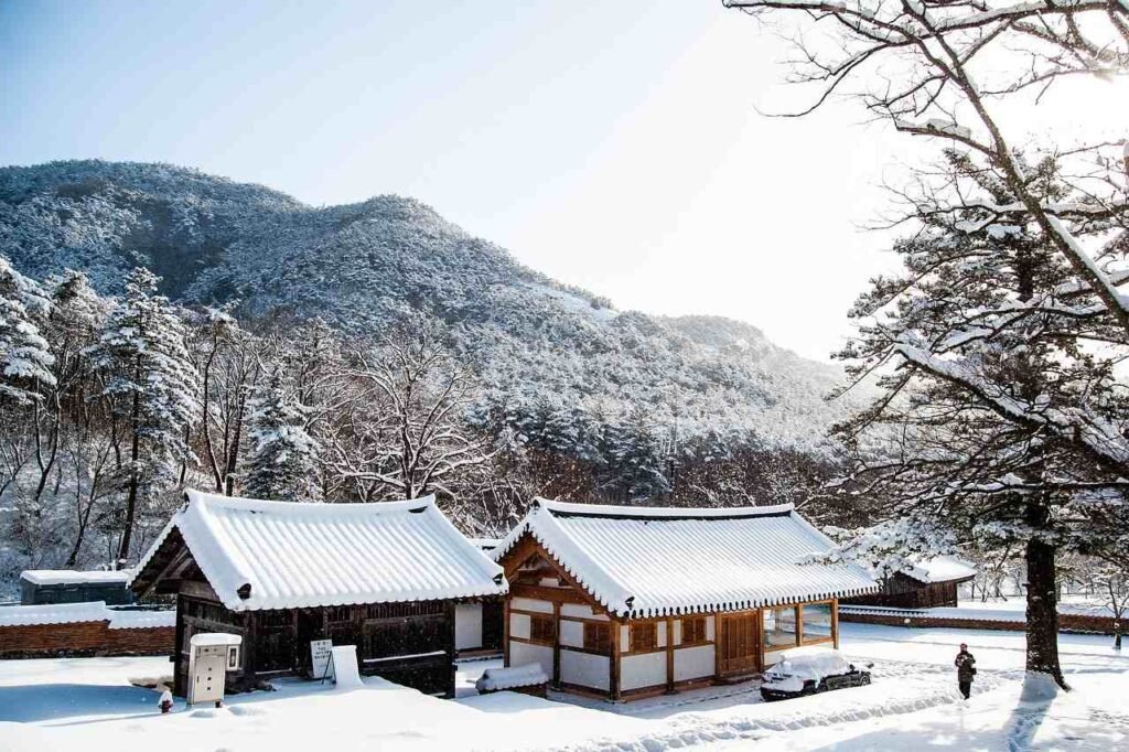 korea in winter