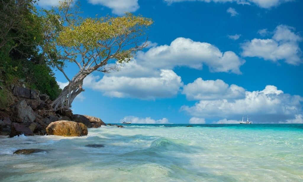 Crystal-clear turquoise waters and a scenic tropical beach with a leaning tree, perfect for budget-friendly travel destinations.