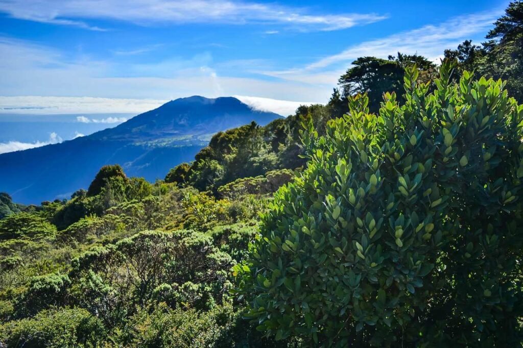 Lush green landscape with a mountain view in Costa Rica, showcasing the countryβs rich biodiversity and tropical beauty.
